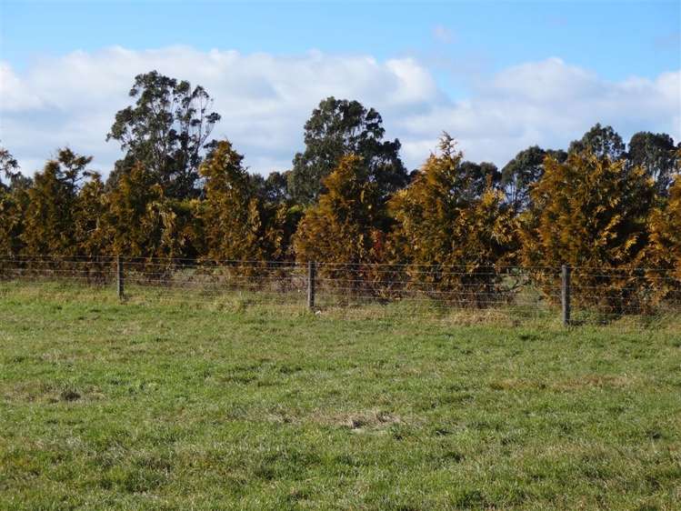 711 Rise Road Temuka_4