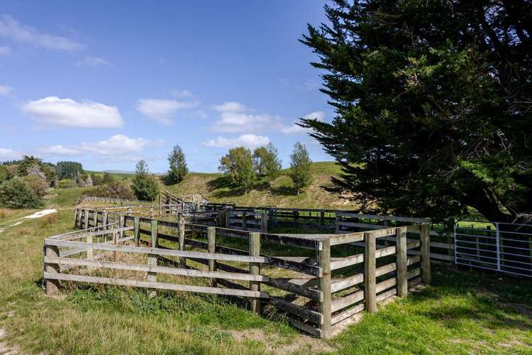 205 Ngawaka Road Flemington_15