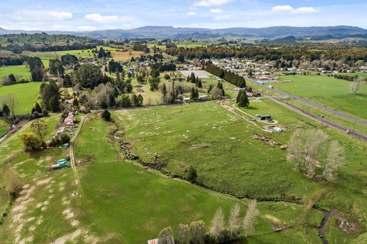 Kawautahi Road Owhango_5