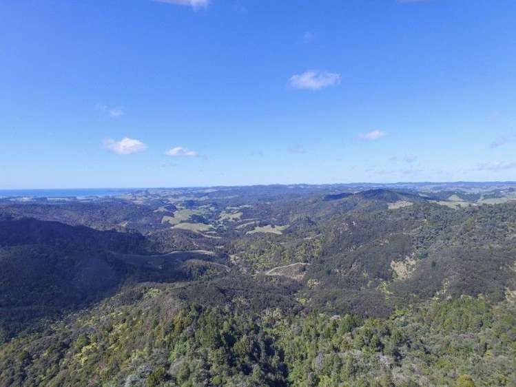 884 Kaiikanui Road Hukerenui and Surrounds_4