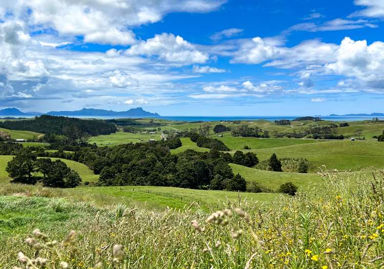 438 Glenmohr Road Waipu_5