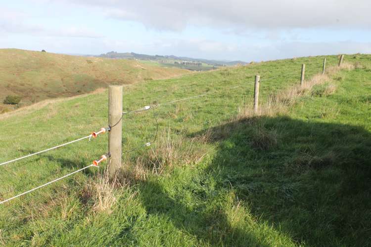 1311 State Highway 12 Maungaturoto_10