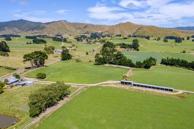 Parkville Road Eketahuna_4