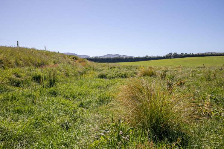 270 Downs Road Cheviot_24