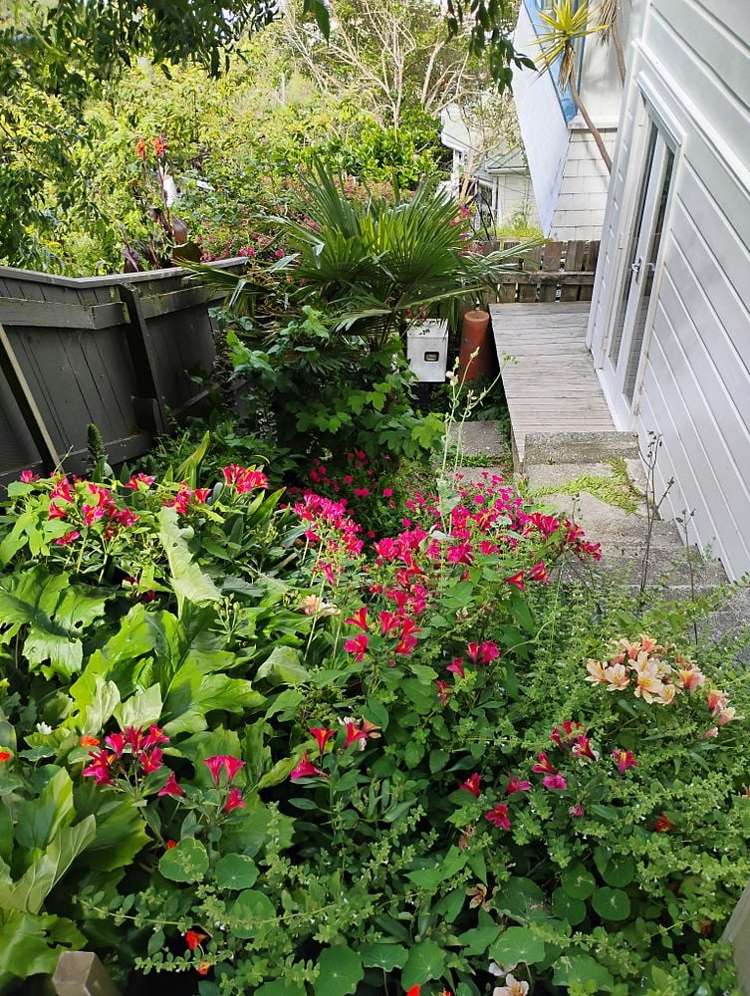 4A Oriental Terrace Oriental Bay_14