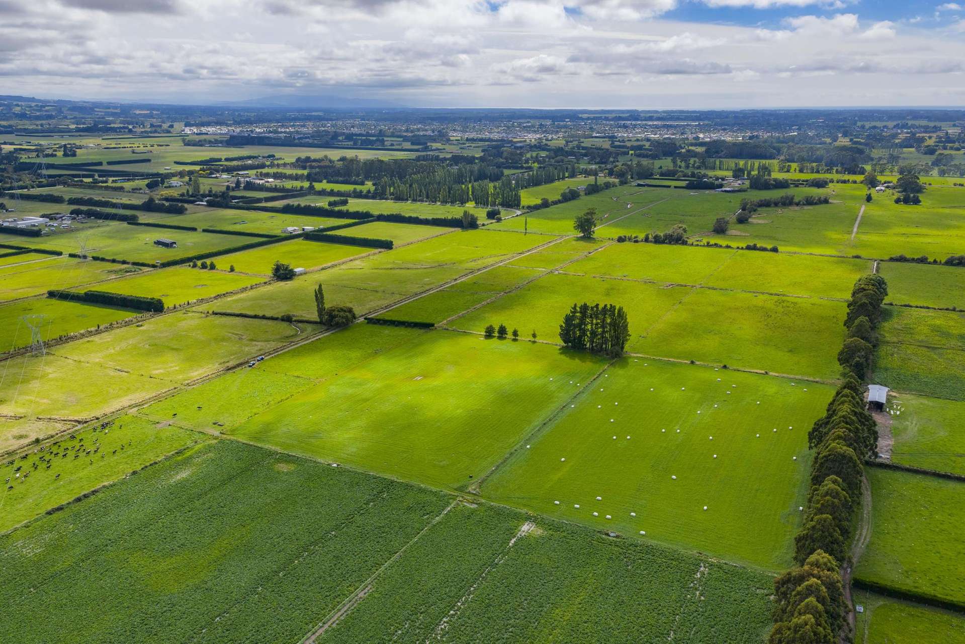 249 Plaskett Road Fernside_0