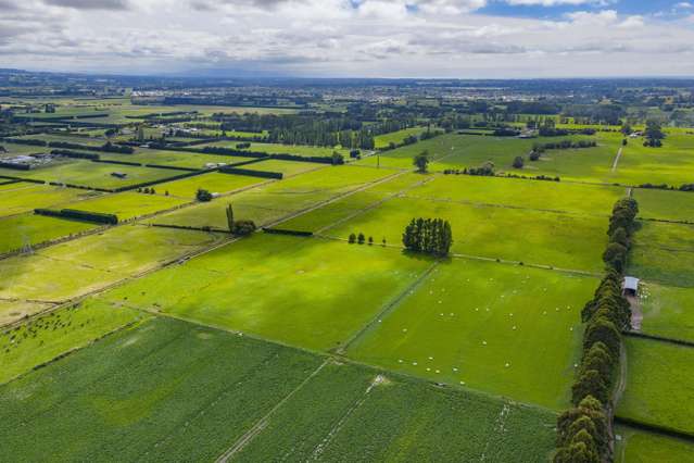 Versatile dairy - lifestyle zoning