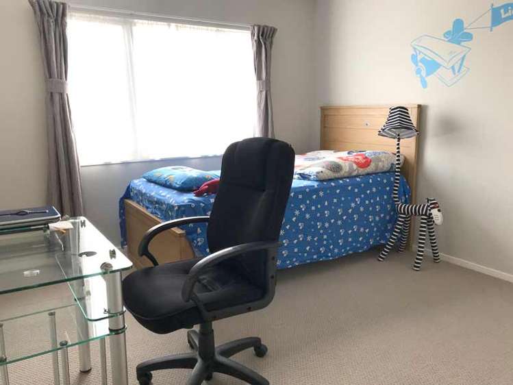 29 Janway Avenue Flat Bush_13