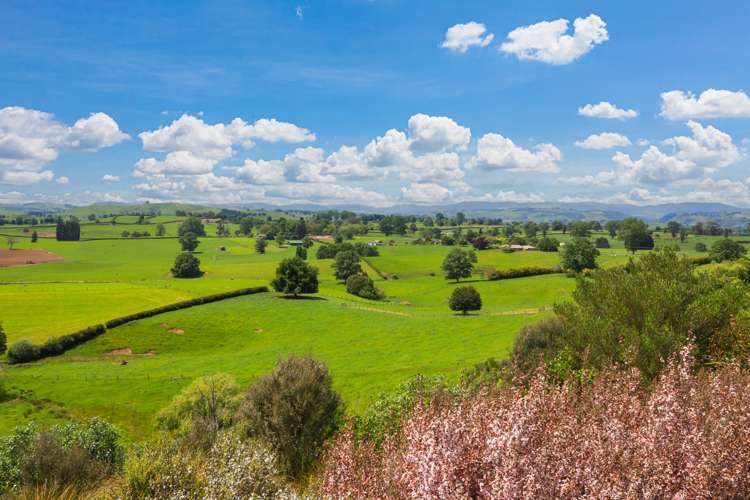 91 Mangaorongo Road Otorohanga_42