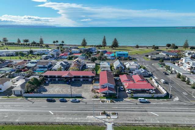 Large & Profitable in Napier