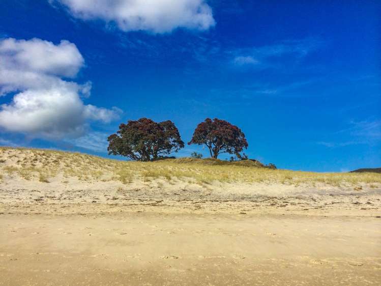 137 Sandhills Road Great Barrier Island_11