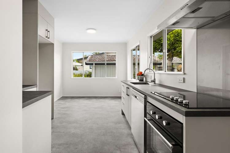 3/173 Vigor Brown Street Napier South_2