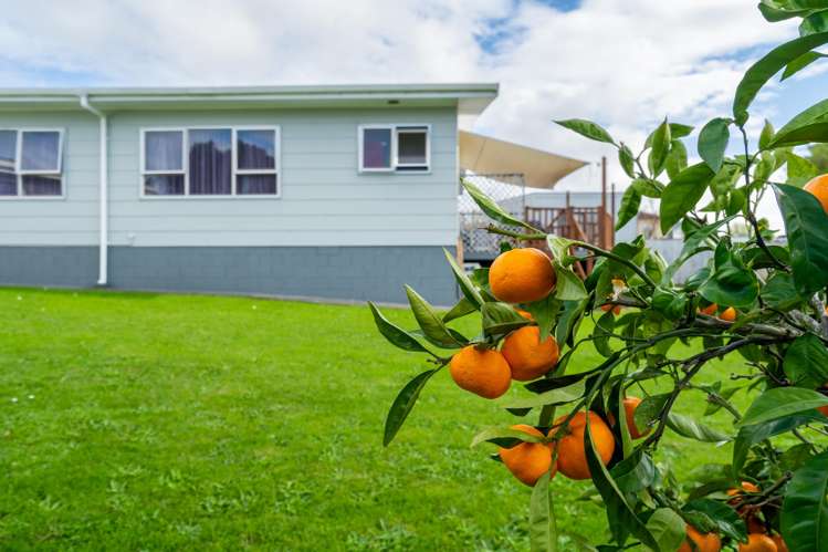 64 Tapper Crescent Tikipunga_20