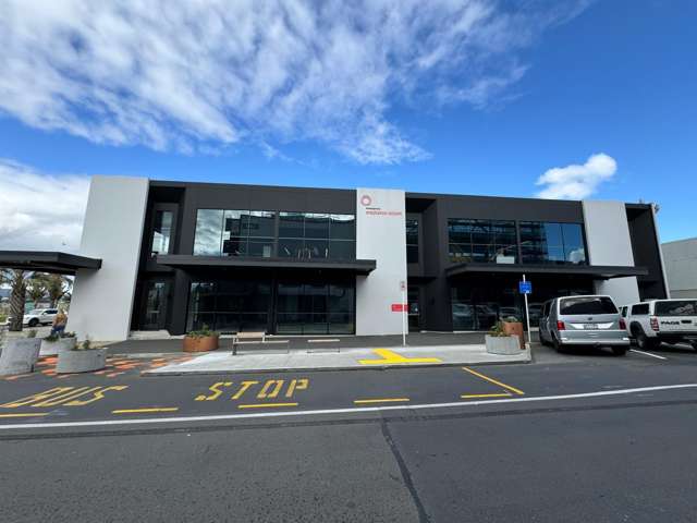 14 Hamilton Street Tauranga Central_2