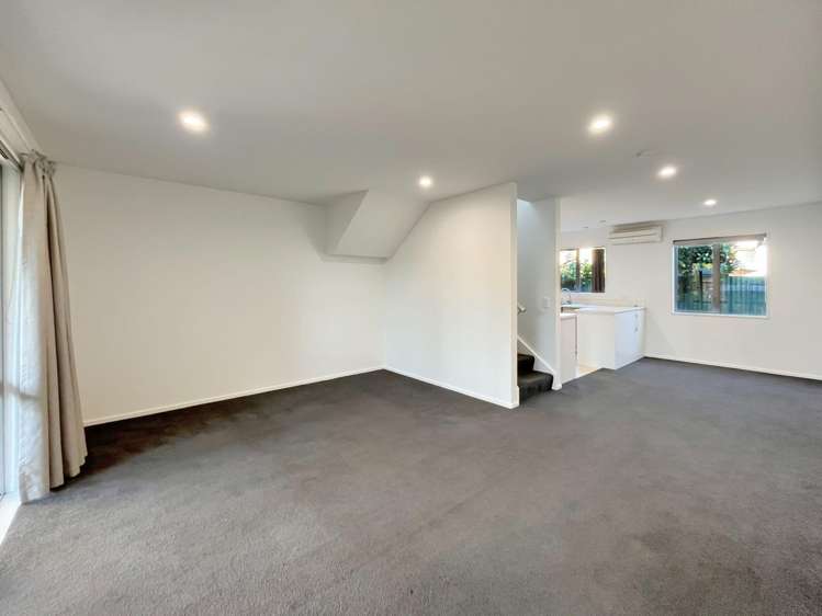 17 Antrim Street Sydenham_7