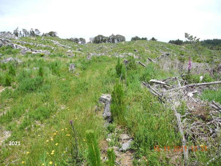 Marsden Road Marsden_9