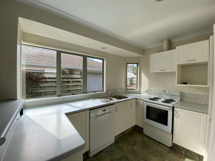 79B Seventeenth Avenue Tauranga South_1