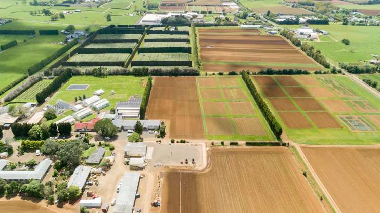 49 Cronin Road Pukekohe_3