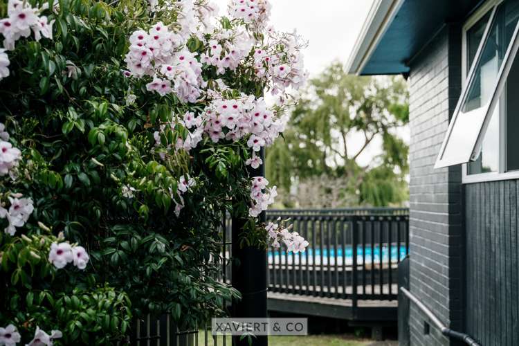 46 Molesworth Place Mangere_18