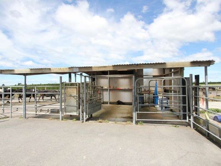 149 Mclennans Bush Road Methven_10