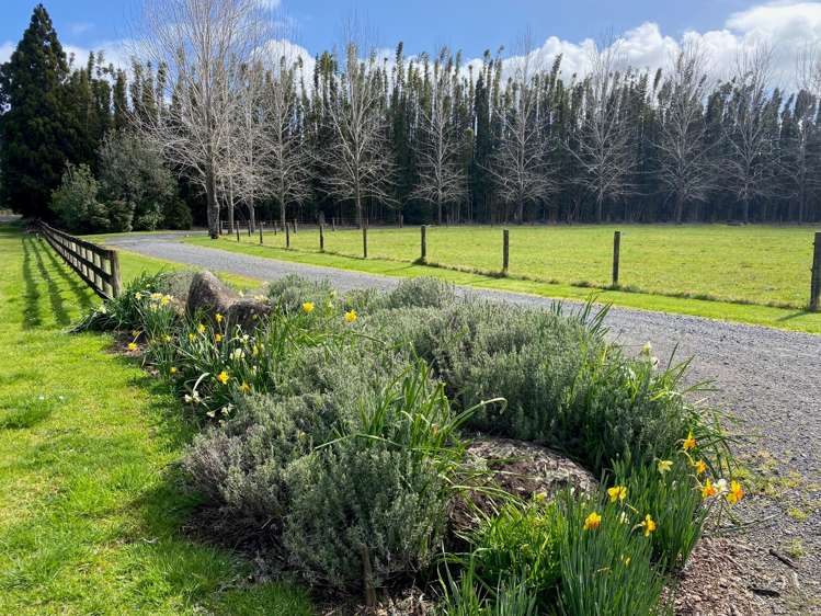 403 Kapiro Road Kerikeri_27