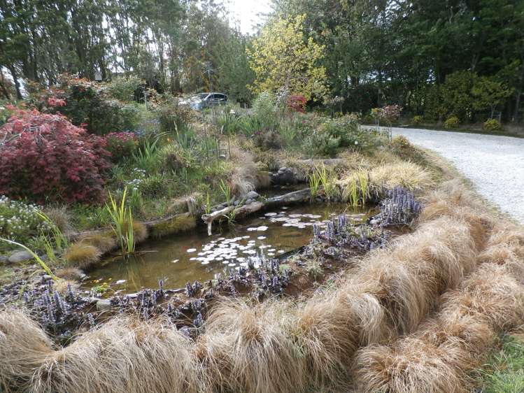 37 Tate Road Te Kuiti_12