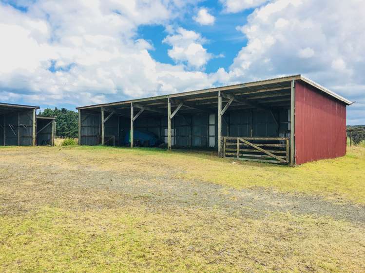 2806 South Head Road South Head_13