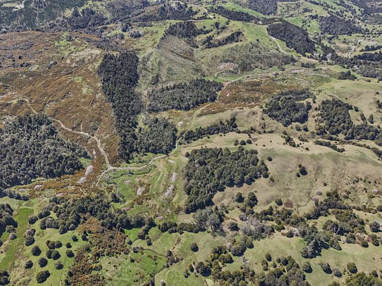Arcadia Road Paparoa_2