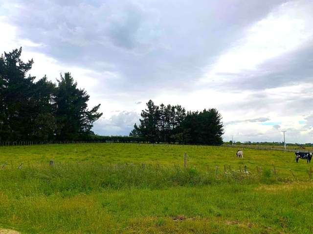 Exceptional Development Opportunity