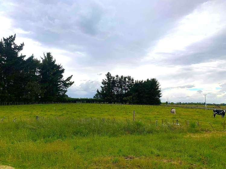 State Highway 50/ Makaroro Road_0