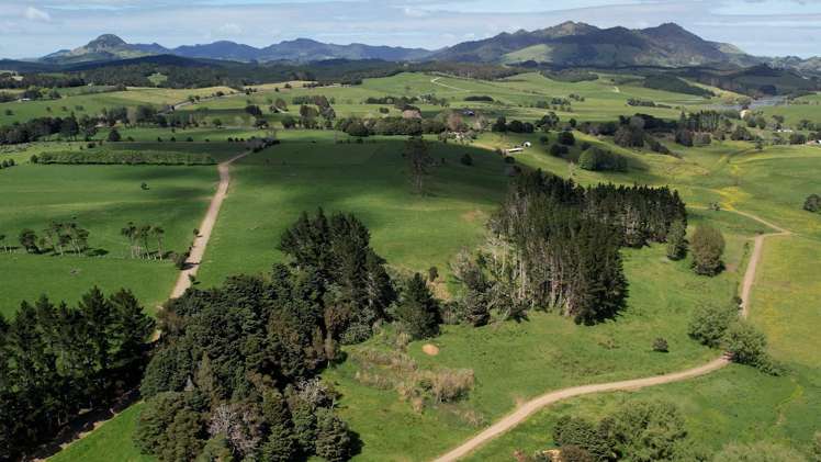 45 Jack Road Pakotai_16