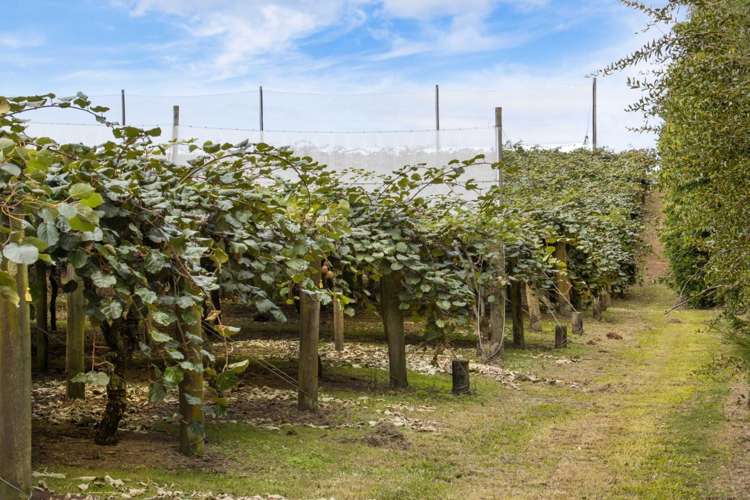 416 State Highway 2 Katikati_17