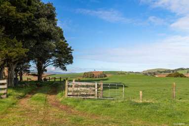 678 Waiuku Road_3