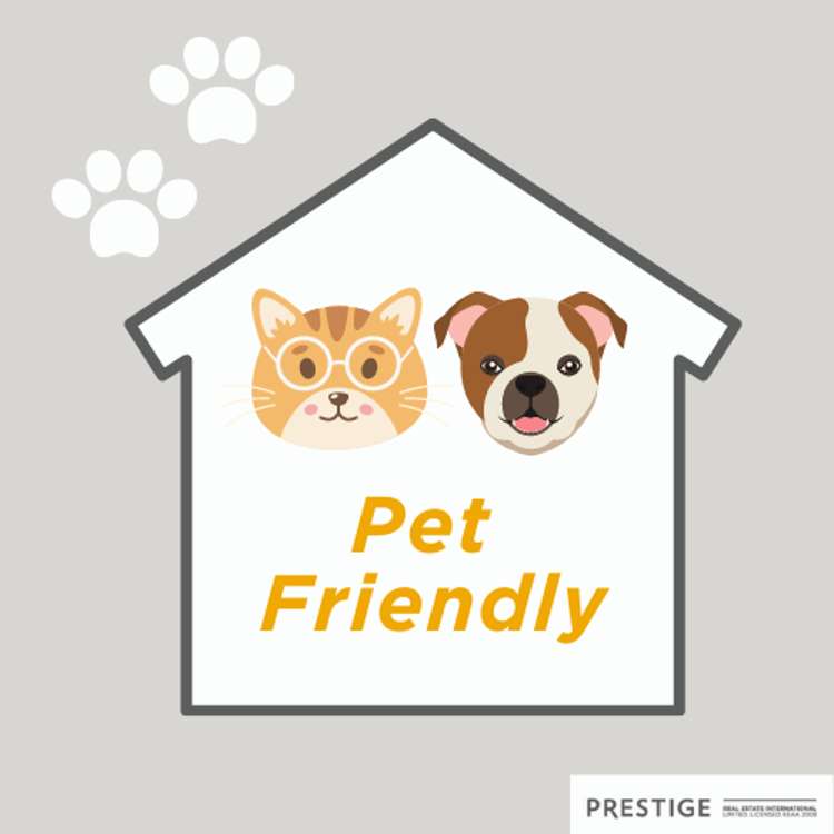 8 Dodson Avenue Milford_25