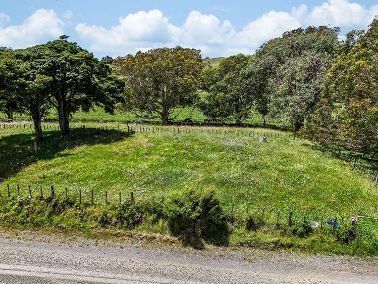 603 Te Akau South Road Te Akau_4