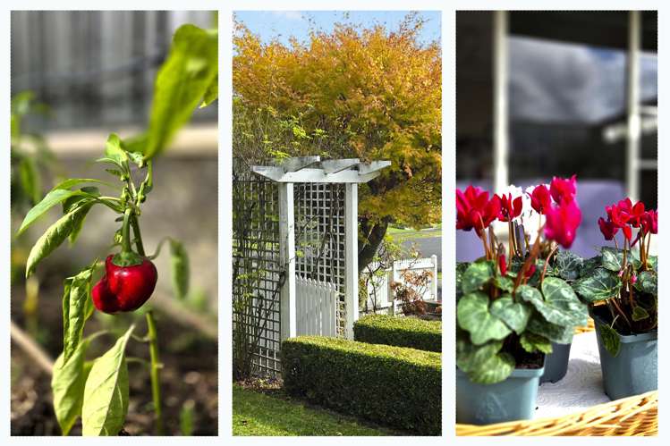 4 Sunnyhills Avenue Glenview_19