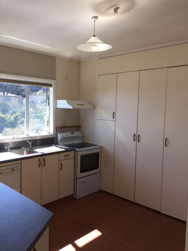 56 Chamberlain Street Tahunanui_4