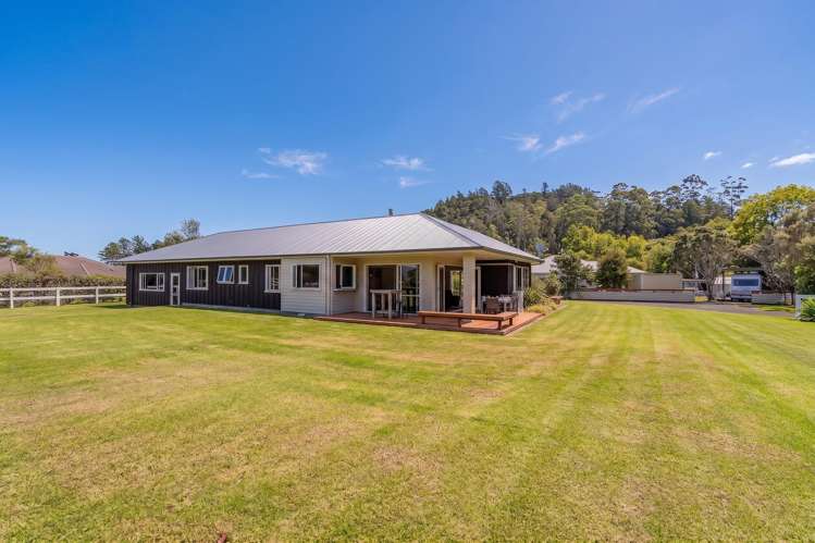 294 Albert Street Coromandel_9