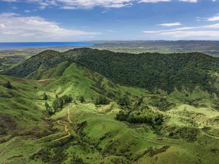 284 McCarthy Road Opotiki_9