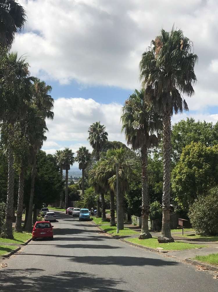 21 Abraham Place Saint Johns_1