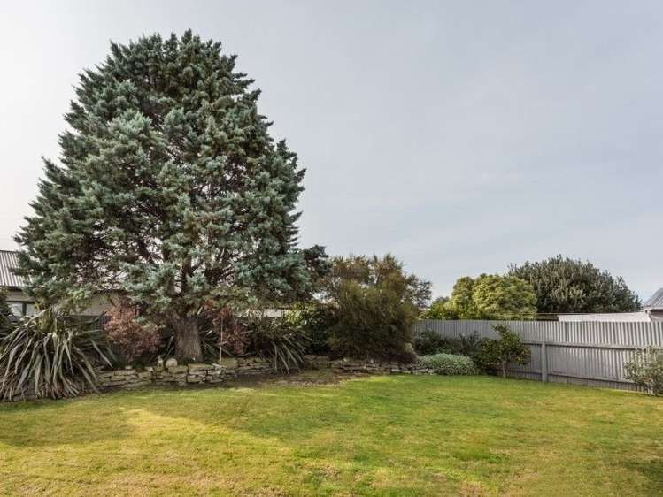 157 Harold Holt Avenue Pirimai_17