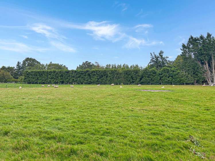 118 Retreat Road 2263_18