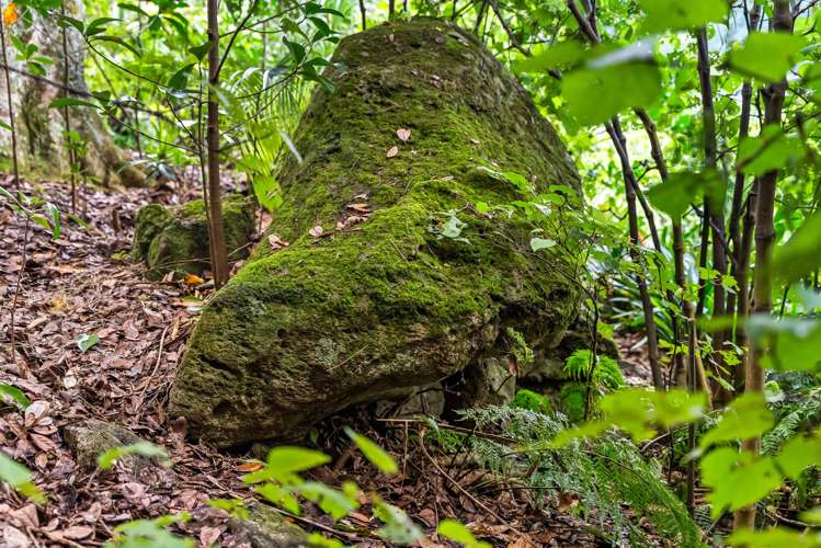 120 Newton Road Maungatapere_28