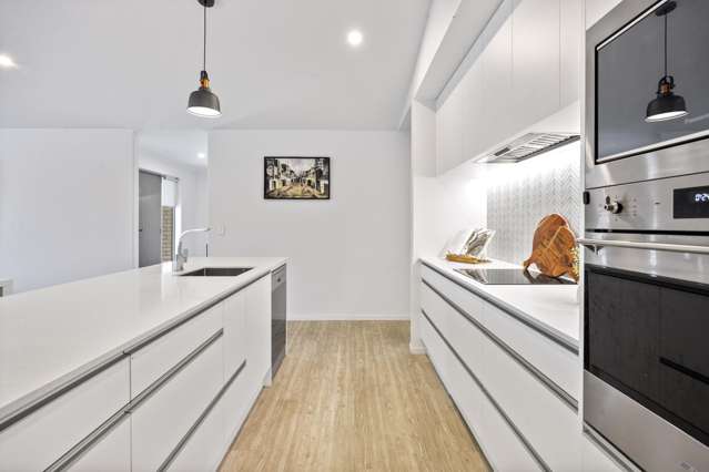 30B Sycamore Grove Lower Vogeltown_3