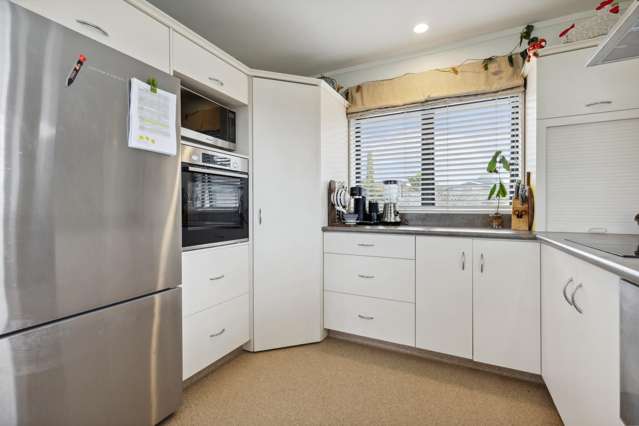 21 House Avenue Taumarunui_1