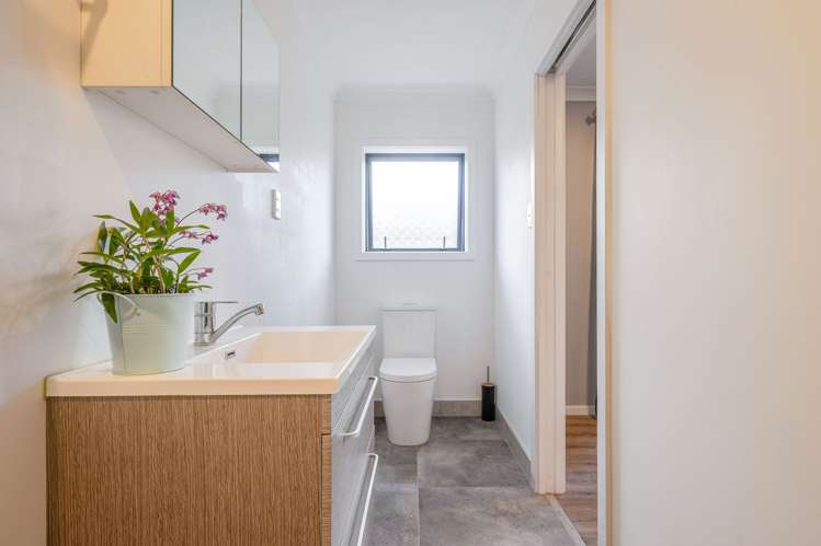 38 Airport Drive Milson_19
