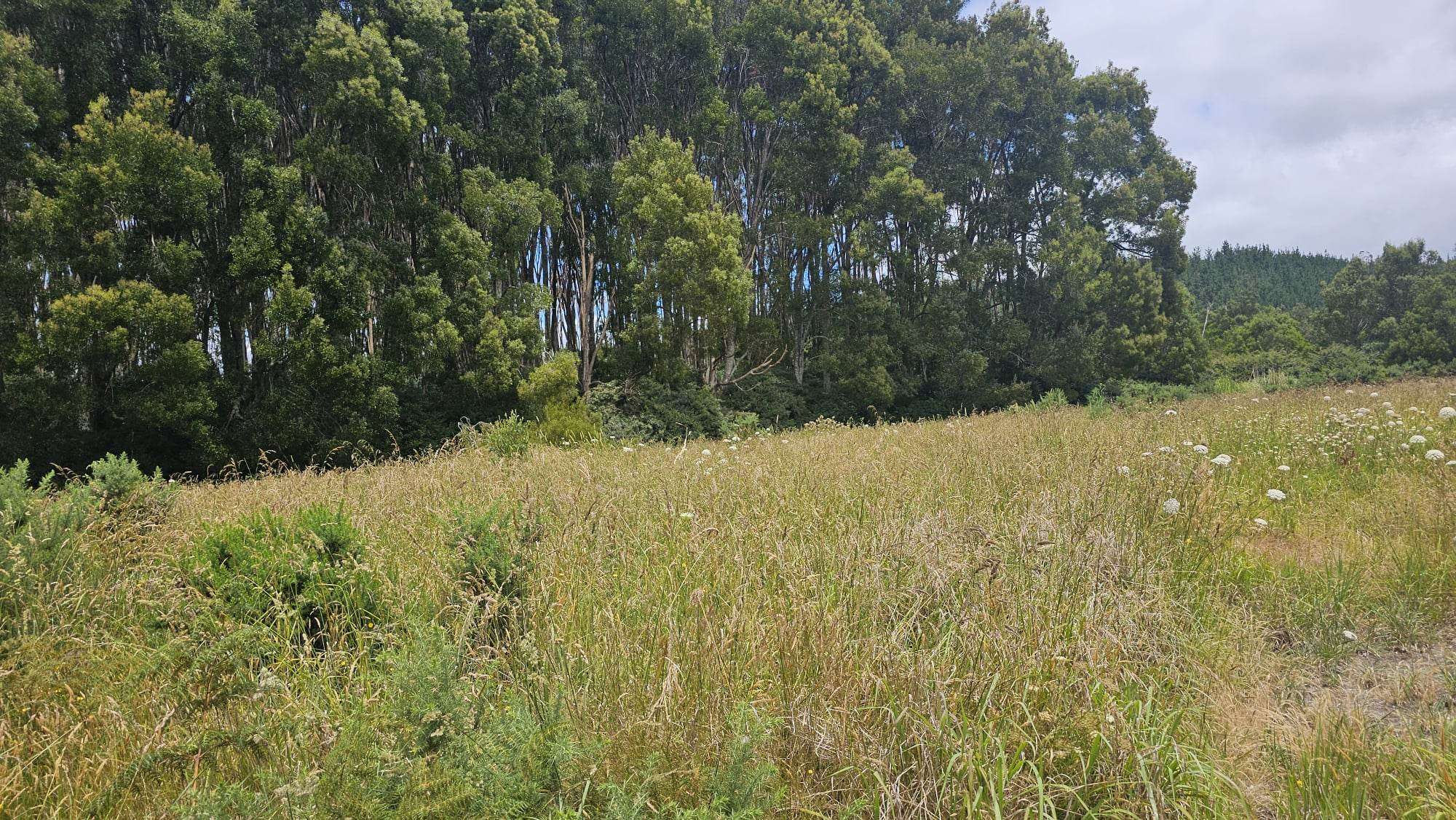 6084 Mangakahia Road Tautoro Far North Houses for Sale One Roof