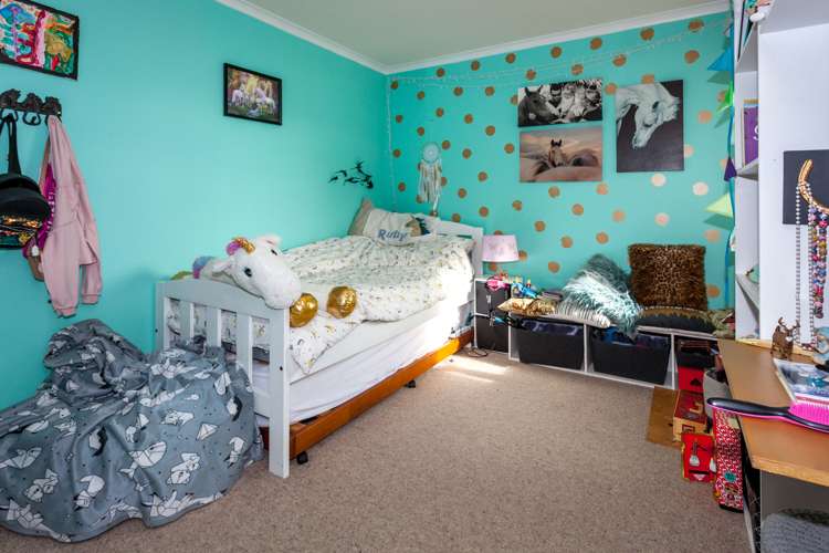 150 Beech Lane Coromandel_14