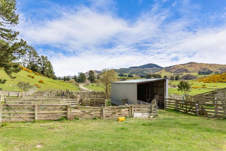 411 Waianiwaniwa Road Sheffield_12