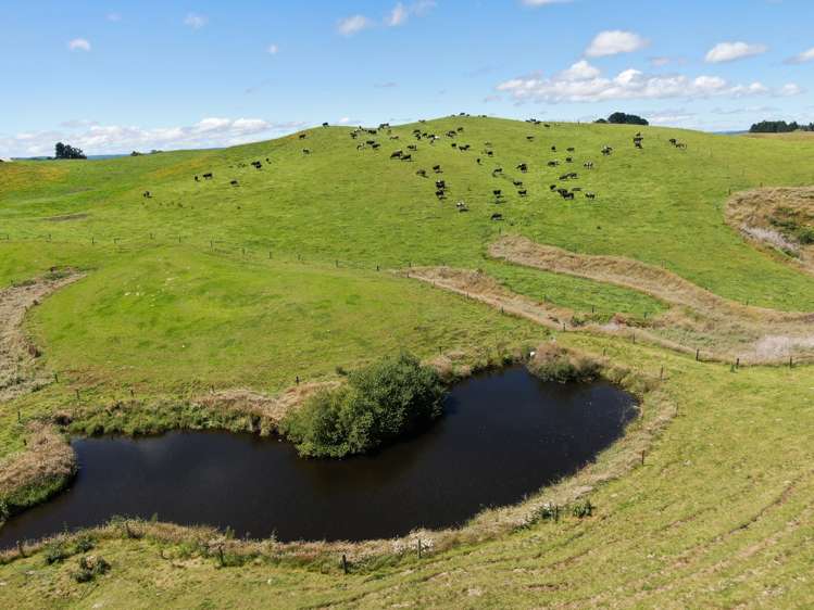 537 Tapuwae Road Benneydale_14